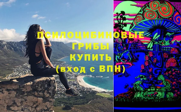 мет Алексин