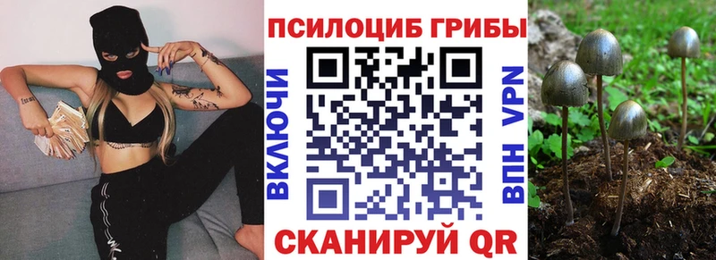 Псилоцибиновые грибы мухоморы  Серов 